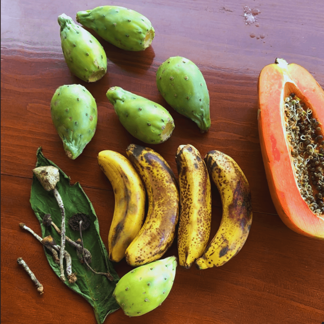 mountain fruits of nature